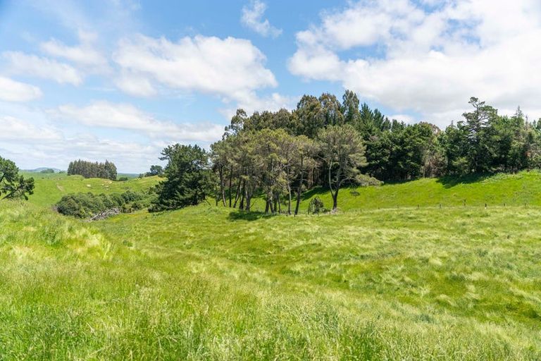 Photo of property in 151b Palmer Mill Road, Wairakei, Taupo, 3384