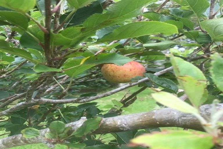 Photo of property in 642 Matapouri Road, Matapouri, Whangarei, 0173