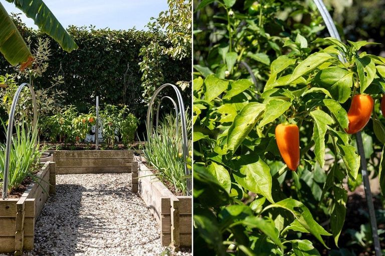 Photo of property in 73 Grace Road, Tauranga South, Tauranga, 3112