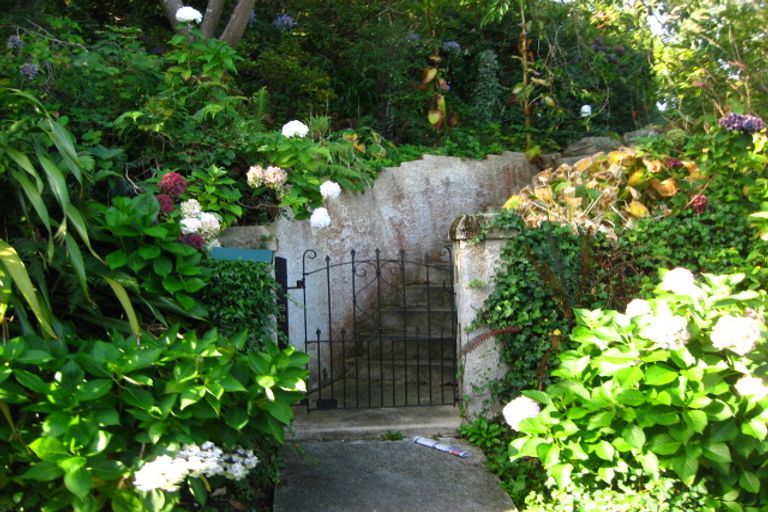 Photo of property in 82 Buccleugh Street, North East Valley, Dunedin, 9010