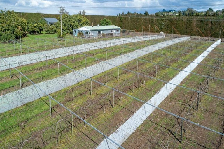 Photo of property in 154b Wairoa Road, Minden, Tauranga, 3171