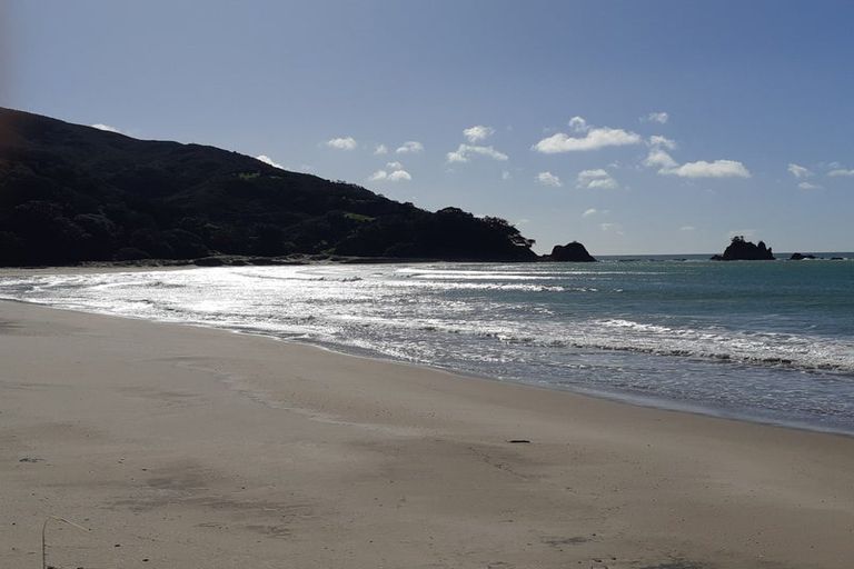 Photo of property in 323c Waikawau Beach Road, Waikawau, Coromandel, 3584