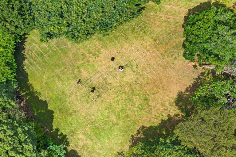 Photo of property in 33 Silkwood Way, Tauriko, Tauranga, 3110