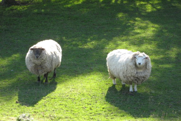 Photo of property in 6 Maitland Street, East Gore, Gore, 9710