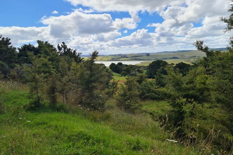 Photo of property in 304 Arapaoa Road, Tinopai, Matakohe, 0593