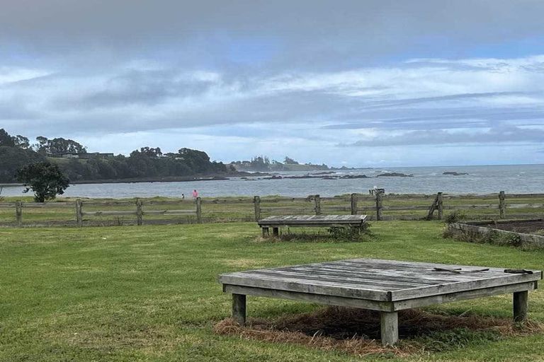 Photo of property in 22 Rawinia Place, Te Kaha, 3199