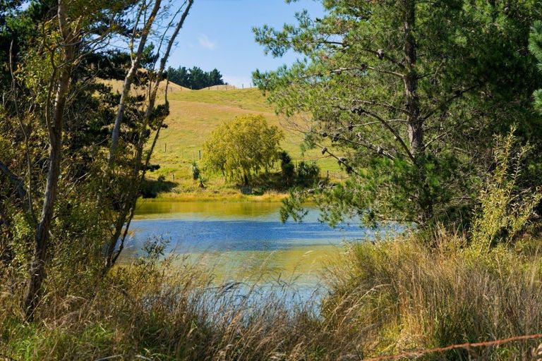 Photo of property in 317 Caseys Road, Blind River, Seddon, 7285