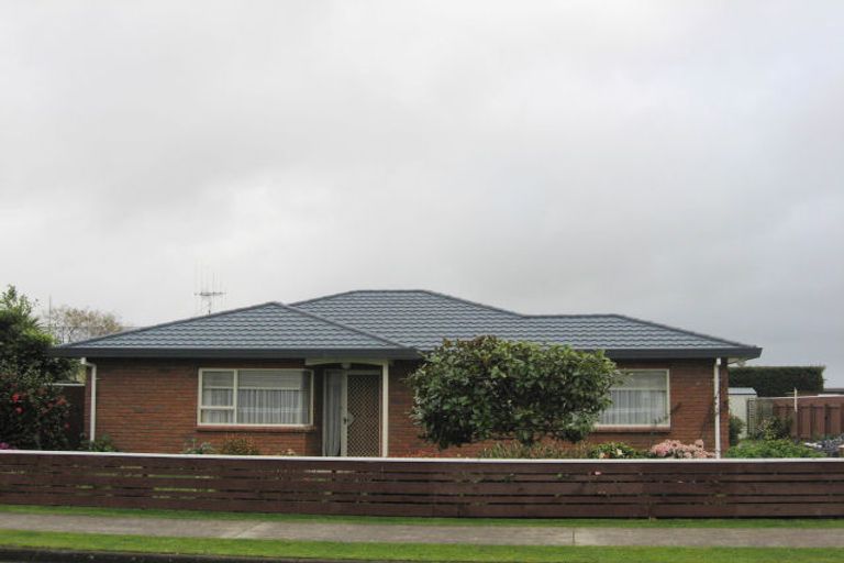 Photo of property in 17 Featherston Street, Levin, 5510