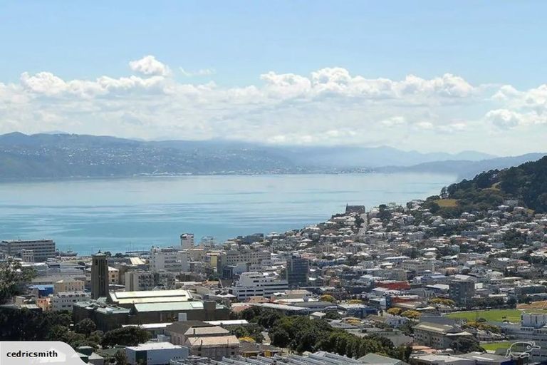 Photo of property in 14 Dorking Road, Brooklyn, Wellington, 6021