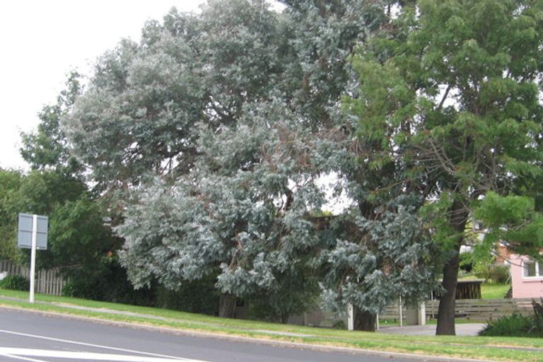 Photo of property in 3/74 Sunnybrae Road, Hillcrest, Auckland, 0627