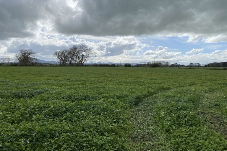 Photo of property in 244 Kainui Road, Taupiri, 3791