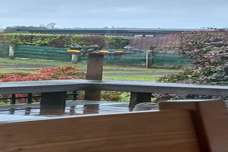 Photo of property in 4 Grenadier Lane, Waihi, 3610