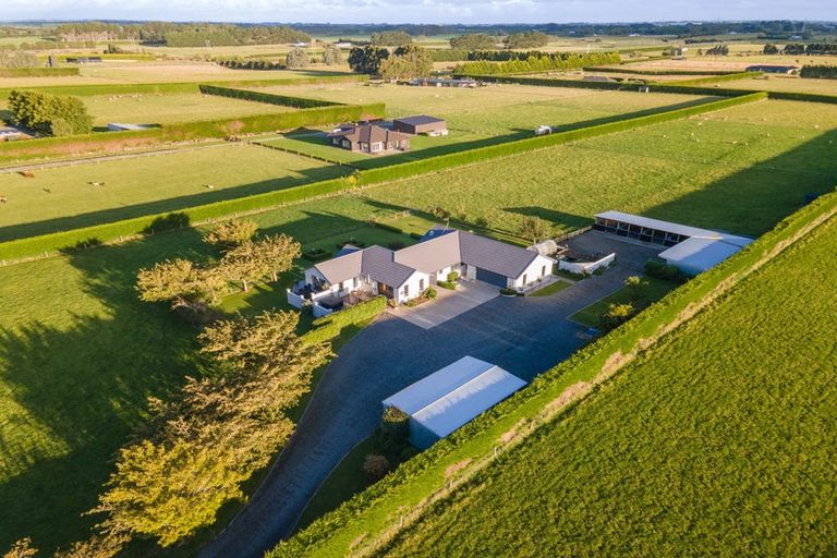 Photo of property in 204 Roslyn Road, Roslyn Bush, Invercargill, 9876