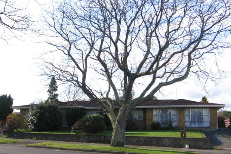 Photo of property in 411 Ruahine Street, Terrace End, Palmerston North, 4410