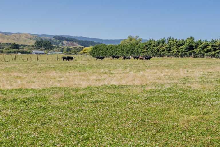 Photo of property in 24 Taylors Road, Otaki, 5583