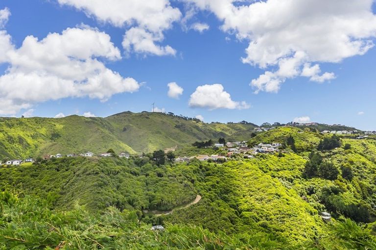 Photo of property in 18 Baffin Grove, Kingston, Wellington, 6021