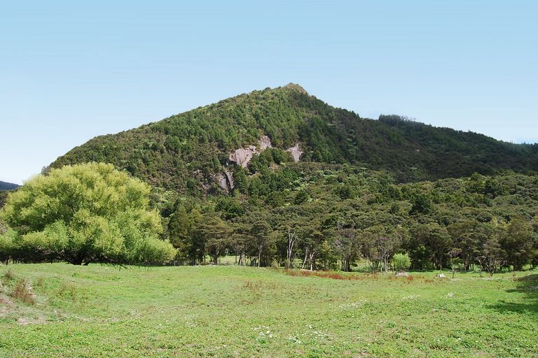 Photo of property in 153 Baldrock Road, Brynderwyn, Maungaturoto, 0587