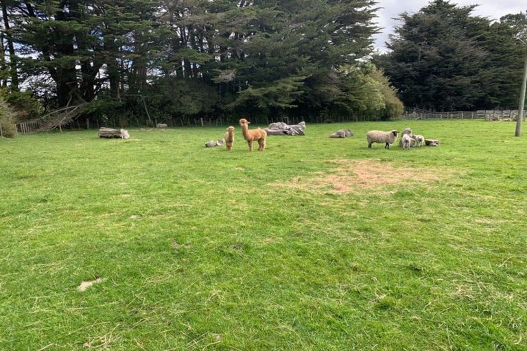 Photo of property in 524 Ngamoko Road, Norsewood, 4974