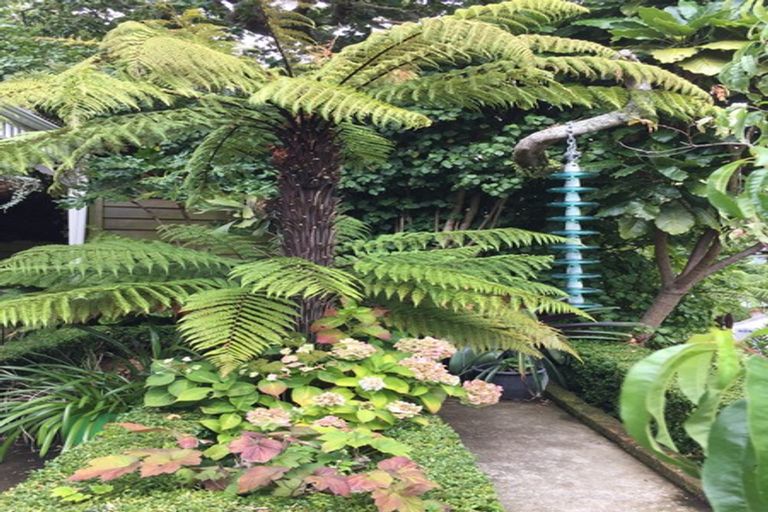 Photo of property in 1 Haines Terrace, Aro Valley, Wellington, 6021