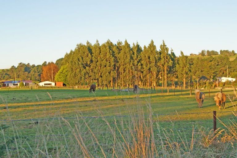 Photo of property in 161 Edinburgh Street, Waikouaiti, 9510