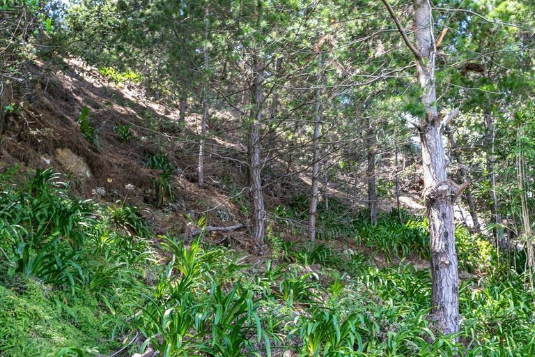 Photo of property in 824 Thames Coast Sh25 Road, Tapu, Thames, 3575