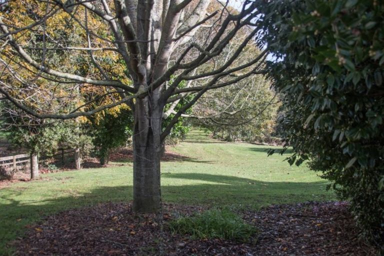 Photo of property in 16a Great Burke Street, Ohaupo, 3803