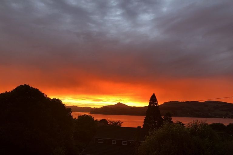 Photo of property in 4 Ruru Avenue, Saint Leonards, Dunedin, 9022