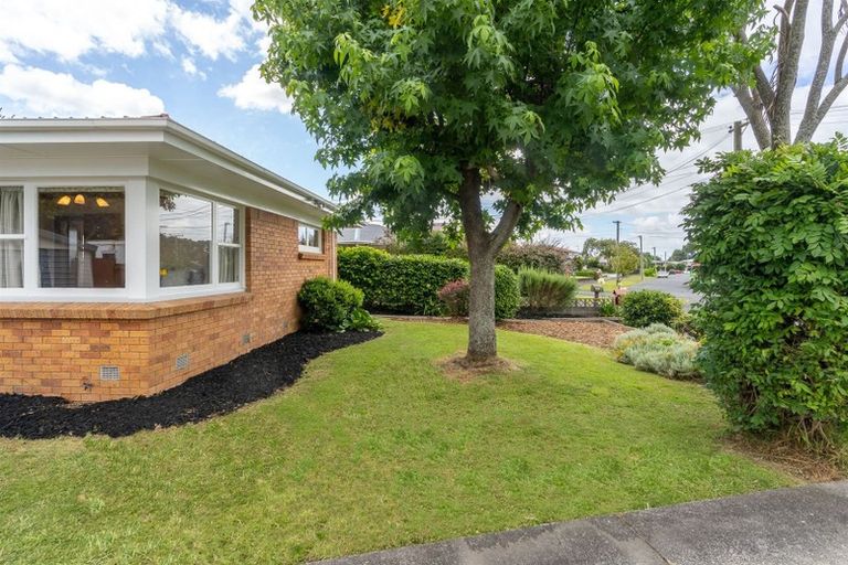 Photo of property in 115 Fitzroy Avenue, Fitzroy, Hamilton, 3206