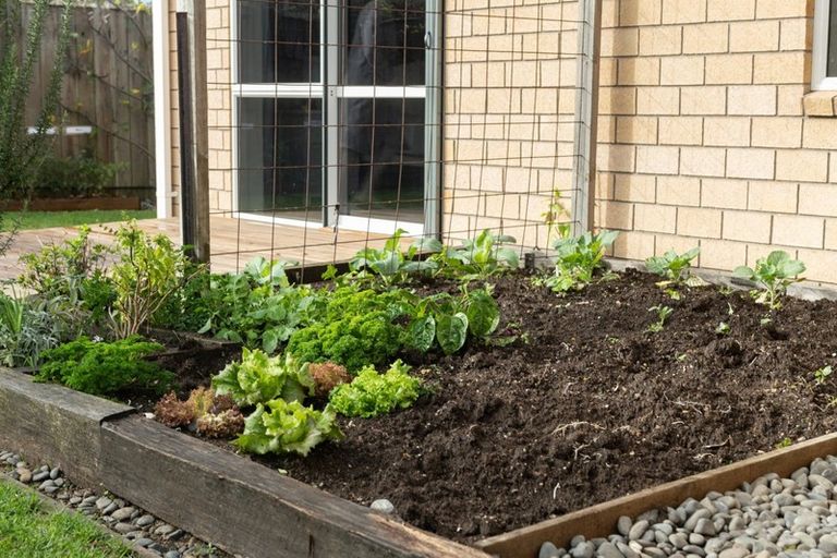 Photo of property in 6/100 Millers Road, Brookfield, Tauranga, 3110