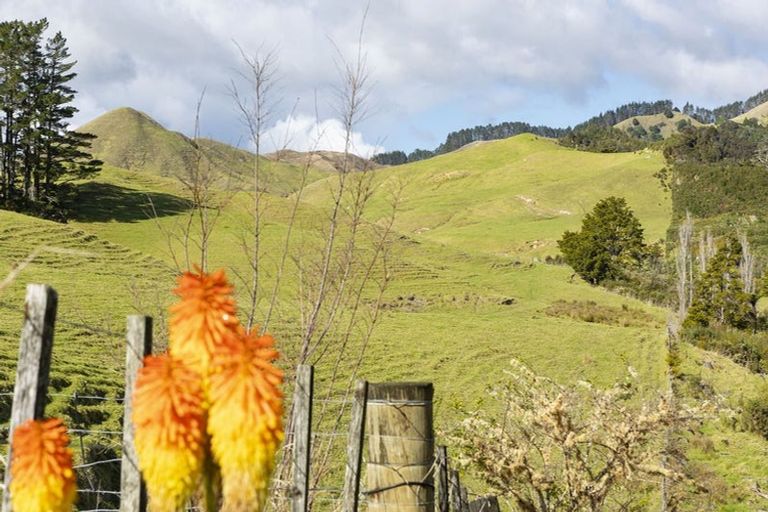 Photo of property in 1379 Oruru Road, Peria, Kaitaia, 0482