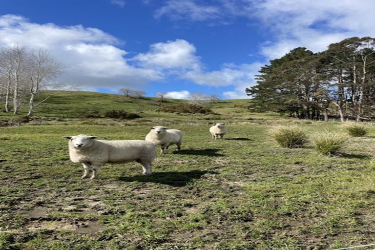 Photo of property in Dunkerron Farm, 852 Oneriri Road, Kaiwaka, 0573