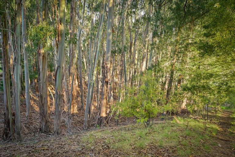 Photo of property in 46 Westdale Road, Redwood Valley, Richmond, 7081