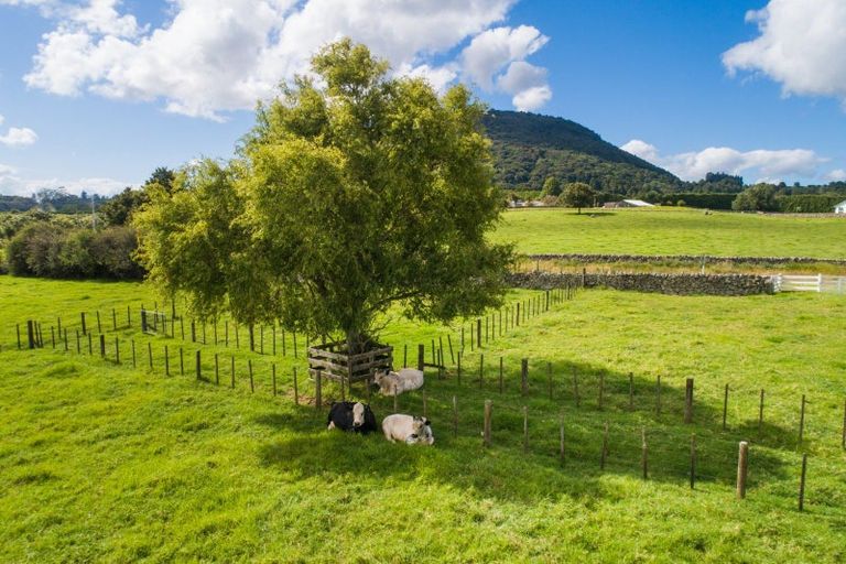 Photo of property in 1528 State Highway 14, Maungatapere, Whangarei, 0179