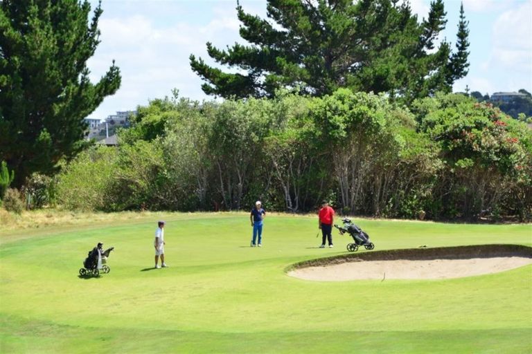 Photo of property in 36 Nautilus Drive, Gulf Harbour, Whangaparaoa, 0930