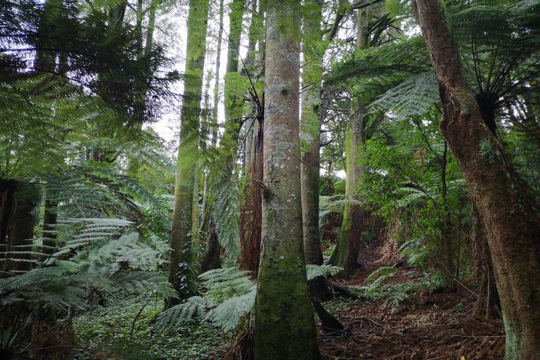 Photo of property in 4 Linthorpe Place, Hillcrest, Hamilton, 3216