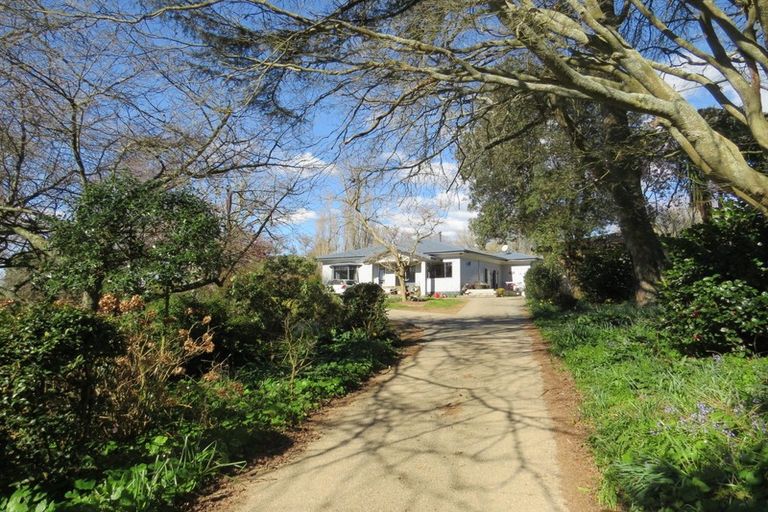 Photo of property in 165 Paewhenua Road, Maihiihi, Otorohanga, 3972