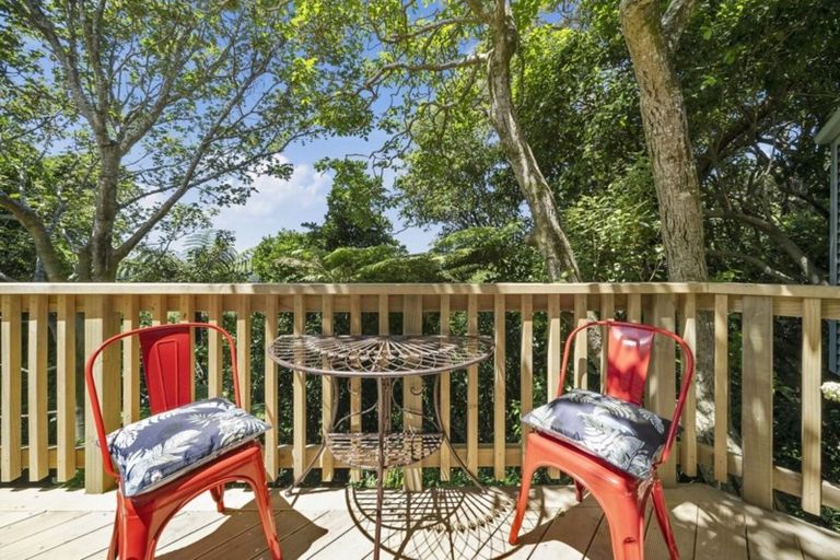 Photo of property in 45a Mana Street, Vogeltown, Wellington, 6021