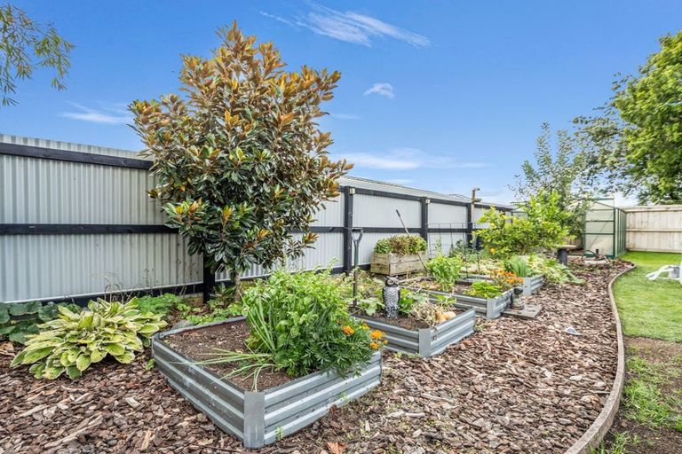 Photo of property in 24 Hobson Street, Kawerau, 3127