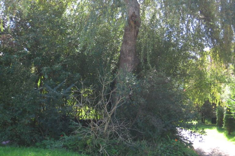 Photo of property in 31 Routley Drive, Glen Eden, Auckland, 0602