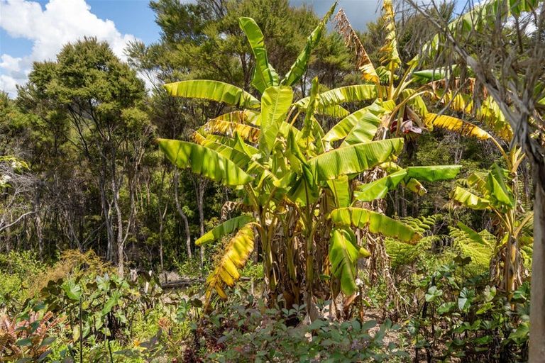 Photo of property in 33 Hihitahi Rise, Paihia, 0200