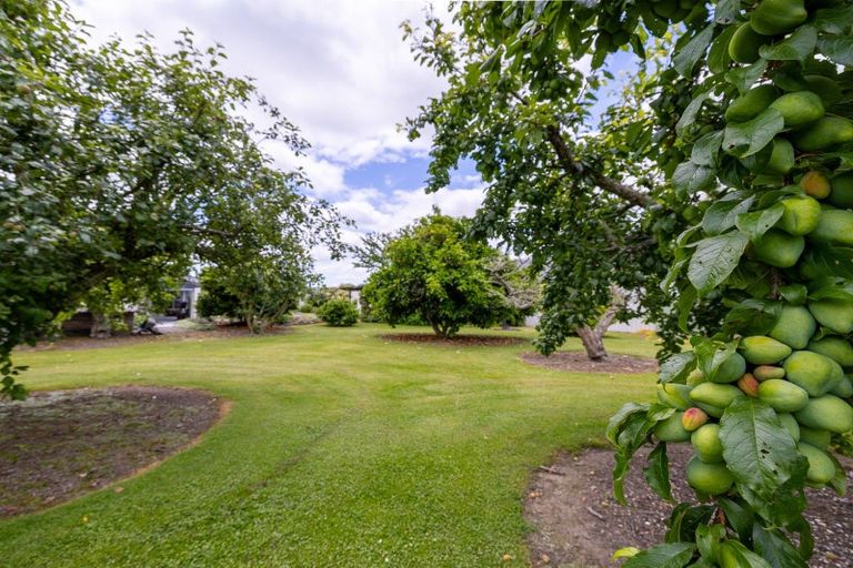 Photo of property in 225 Hoeka Road, Matangi, Hamilton, 3284