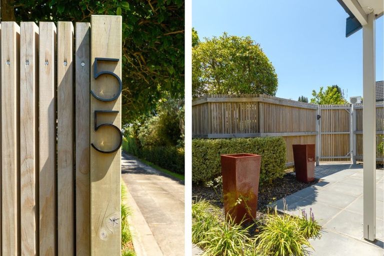 Photo of property in 55 Kings Avenue, Matua, Tauranga, 3110