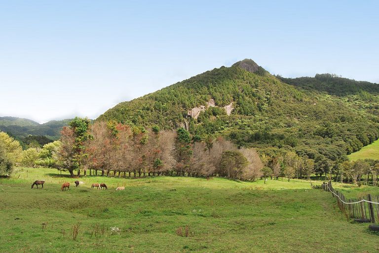 Photo of property in 153 Baldrock Road, Brynderwyn, Maungaturoto, 0587