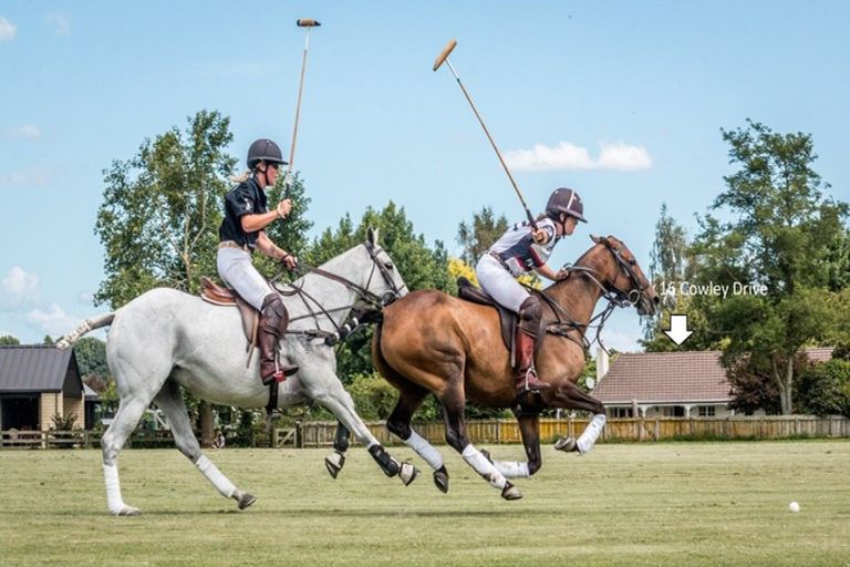 Photo of property in 16 Cowley Drive, Leamington, Cambridge, 3432