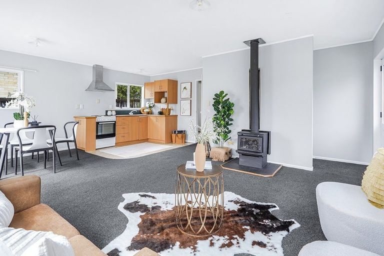 Photo of property in 155a Maeroa Road, Maeroa, Hamilton, 3200