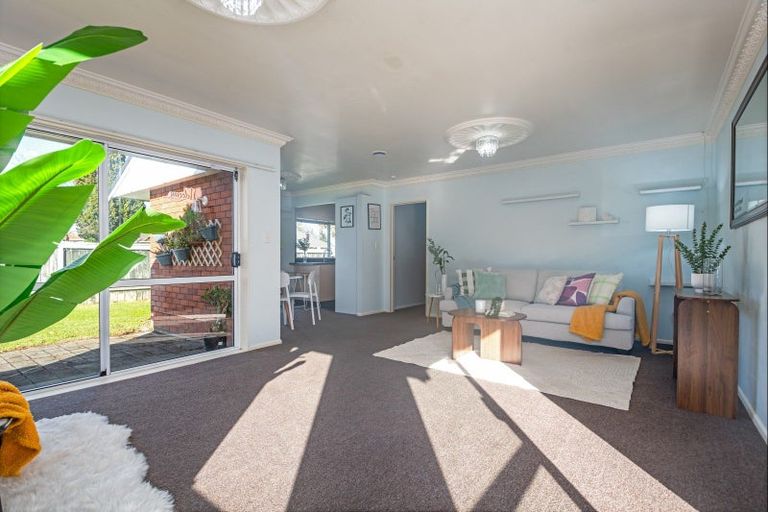 Photo of property in 509 Featherston Street, Roslyn, Palmerston North, 4414