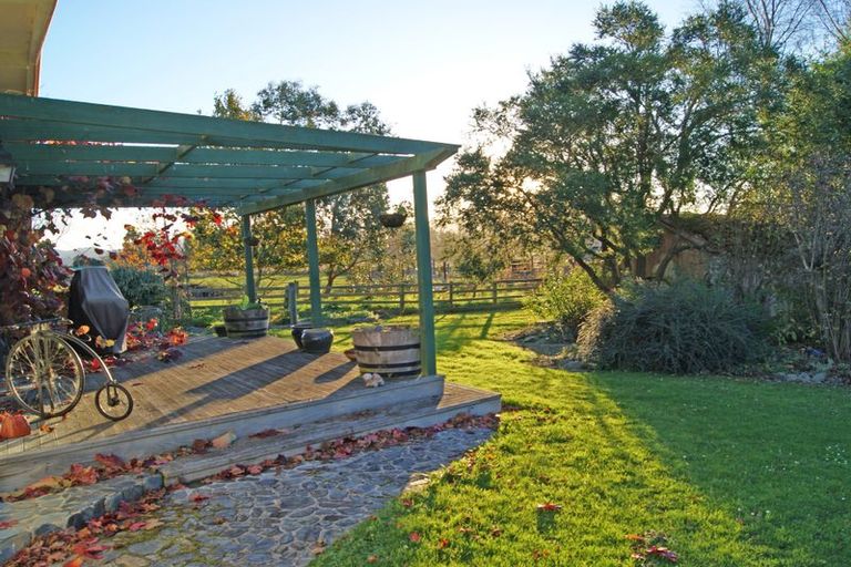 Photo of property in 161 Edinburgh Street, Waikouaiti, 9510