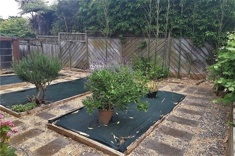 Photo of property in 1/58 Hillcrest Avenue, Hillcrest, Auckland, 0627