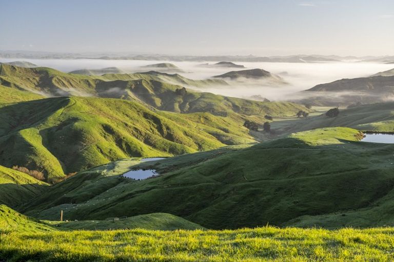 Photo of property in 425 Daggs Road, Bideford, Masterton, 5882