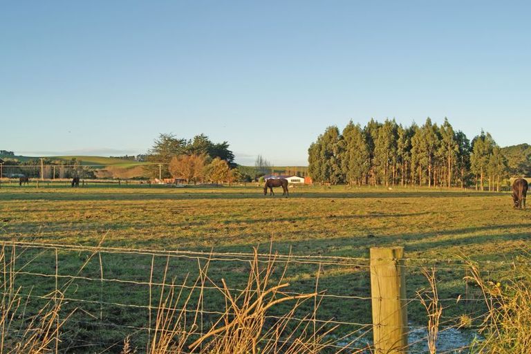 Photo of property in 161 Edinburgh Street, Waikouaiti, 9510